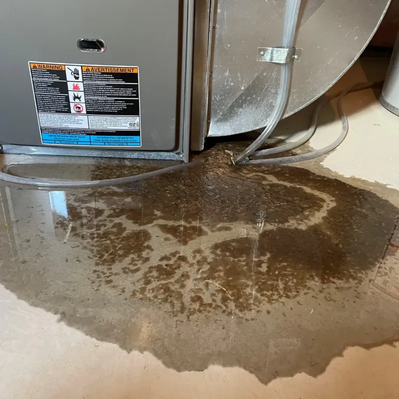 Appliance Leak Cleanup in Jennings Lodge, OR