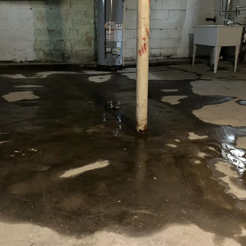 Emergency Water Extraction And Removal in Jennings Lodge, OR